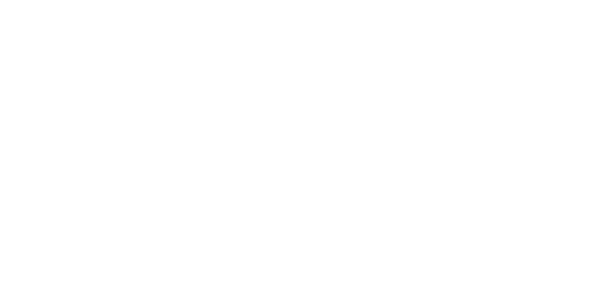 Ayden logo