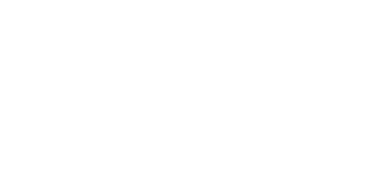 w consulting logo